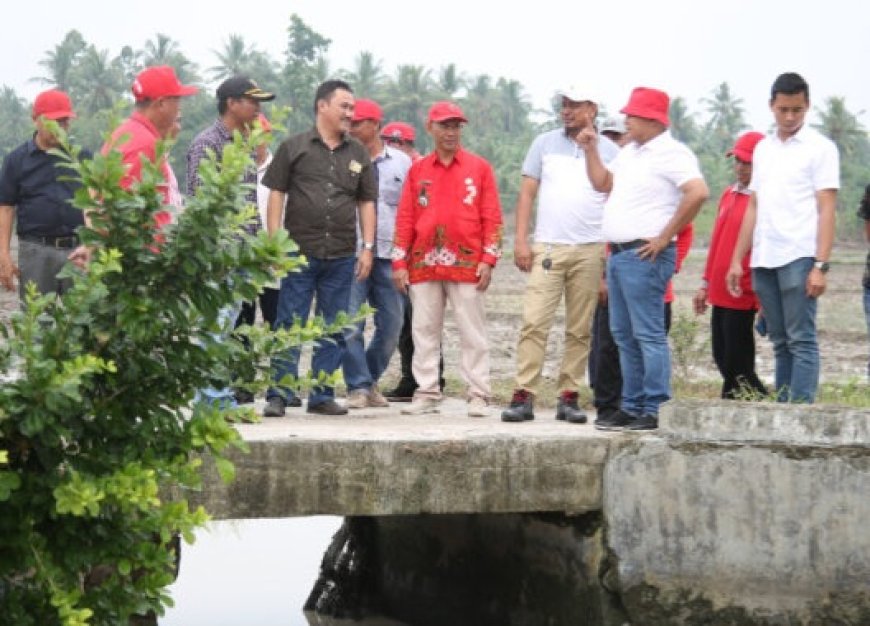 Nanang Tinjau Gorong-gorong  Amrol di  Kecamatan Sragi