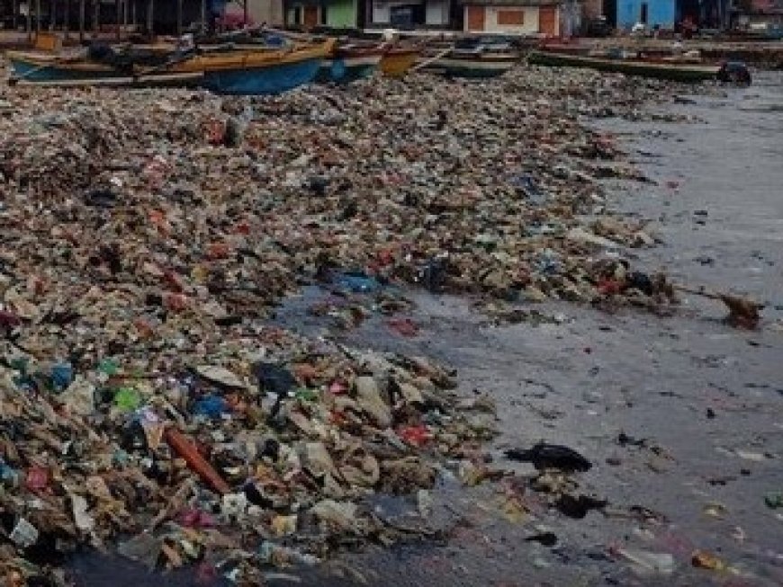 Anda Harus Tahu Pengaruh Sampah Plastik untuk Tumbuhan Mangrove