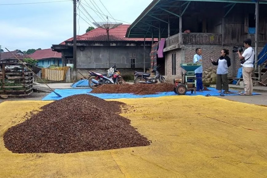 PLN Lampung Bantu Petani Kopi di Lampung Barat Melalui Program TJSL