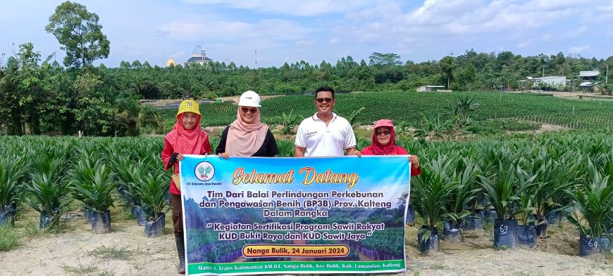 BP3B Kalteng Sertifikasi Program Sawit Rakyat di Nanga Bulik