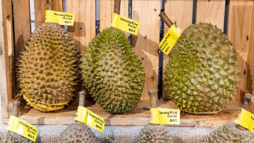 Warganet Malaysia Geram Durian Disebut Buah Nasional Singapura