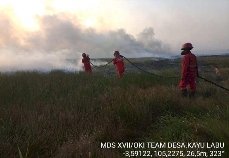 Puncak Musim Kemarau, Karhutla di OKI Terus Meningkat