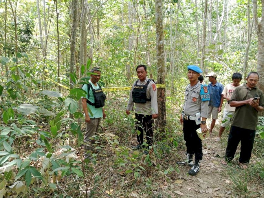 Jumlah Kawanan Gajah Ratusan di Tri Anggun Jaya Musi Rawas, BKSDA Turun Lakukan Pemantauan