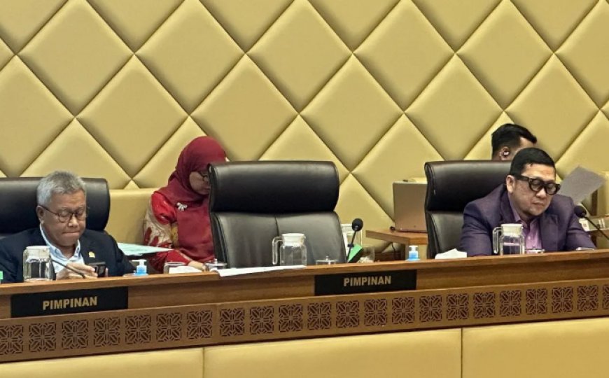 DPR dan Pemerintah Sepakat Pilkada Ulang 2025 Jika Kotak Kosong Menang atas Calon Tunggal