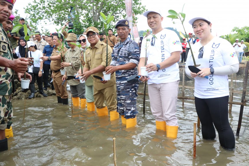 Pj. Gubernur Lampung dan Marinir Tanam 20.000 Mangrove di Pesawaran untuk Kelestarian Laut