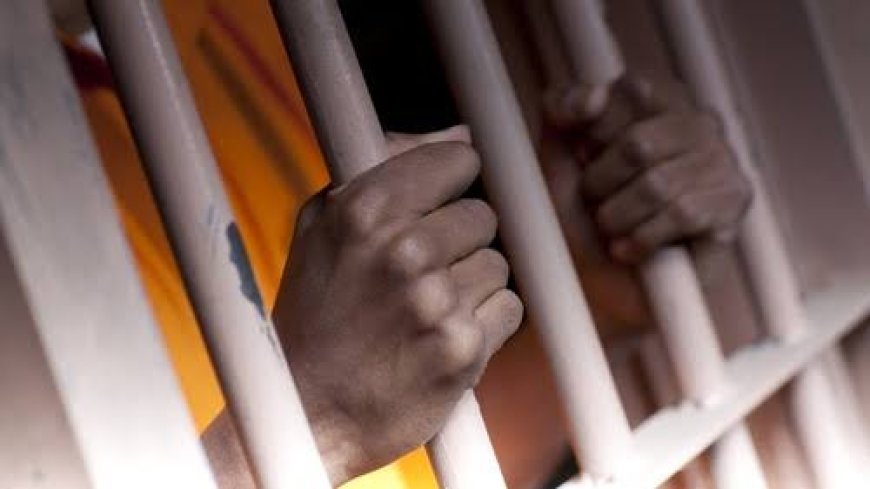 Bebas Berkat Amnesti, Pengguna Narkoba dan Napi Gangguan Jiwa Kembali ke Rumah