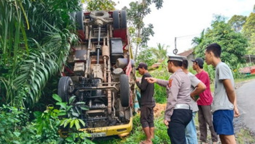 Truk Pengangkut Kelapa Terguling di Tanggamus, Dua Pekerja Tewas