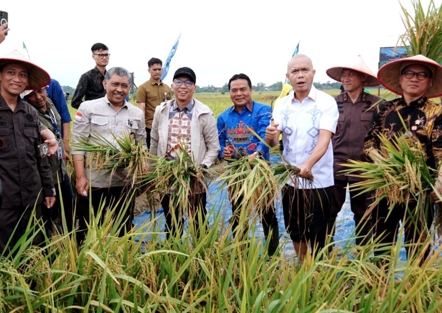 Lampung Bergerak Jadi Garda Terdepan Pangan Nasional