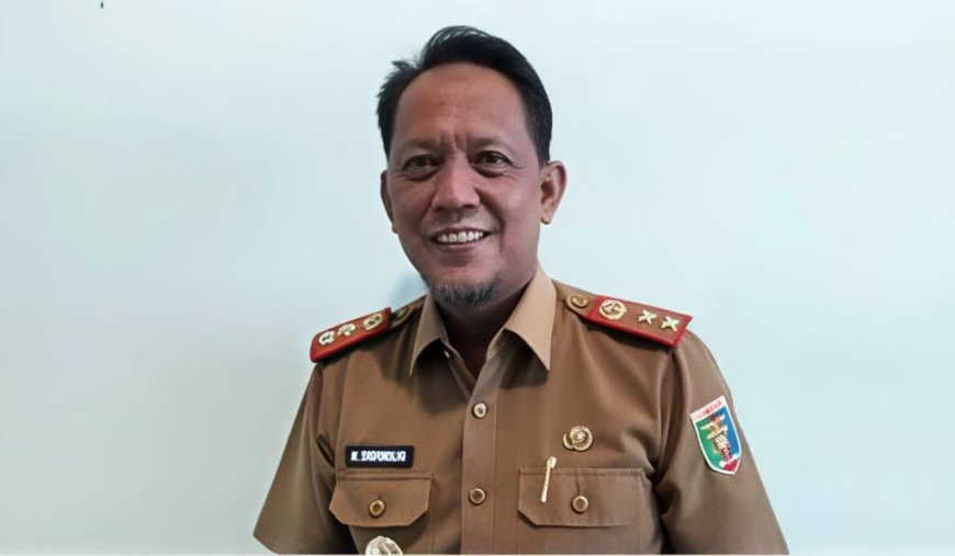 Pemprov Lampung Siap Bantu Penanganan Jembatan Viral di Tanggamus