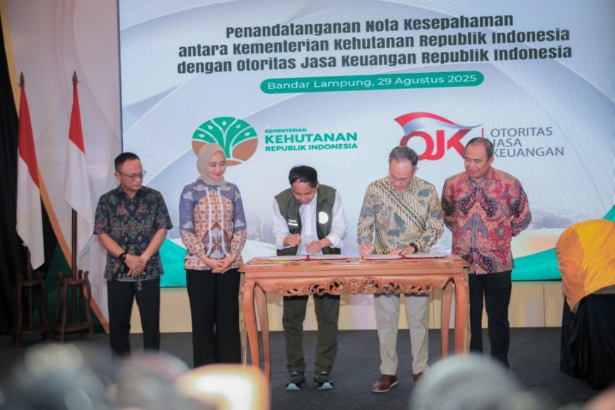 Lampung Jadi Lokasi Perdana Proyek Percontohan Nilai Ekonomi Karbon Perhutanan Sosial di Indonesia