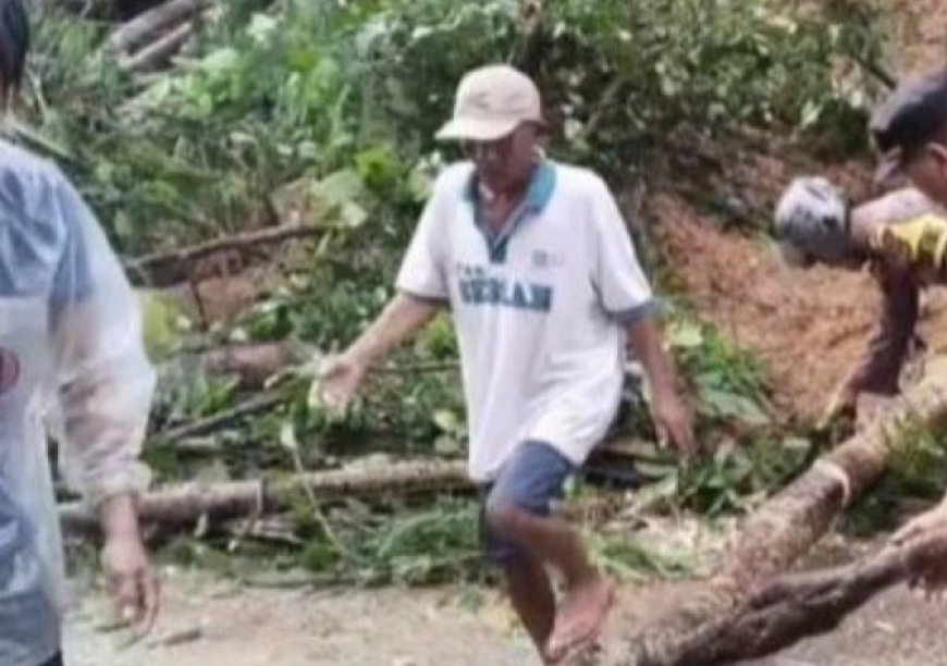 Hujan Deras Picu Longsor dan Pohon Tumbang di Tanggamus, Sejumlah Akses Jalan Terputus